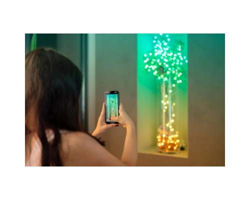 Гірлянда Twinkly Smart LED Strings USB 100 Star-shaped RGB LEDs, Clear Wire, USB-C 6м (TWKS100RGB-T)
