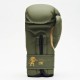 Боксерські рукавички Leone GN059G Military Edition Green 16 унцій (GN059G_Green_16oz)