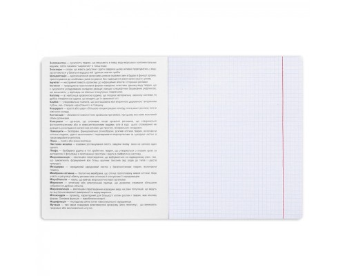 Зошит Yes предметний БІОЛОГІЯ Elegant 48 аркушів, клітинка (767446)