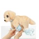Інтерактивна іграшка Little Live Pets Лабрадор Ой, болить (26679)