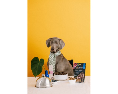 Ласощі для собак Savory Fillet Turkey With Duck 100 г (4820261921151)