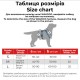 Шлея для собак WAUDOG Nylon анатомічна H-подібна з QR-паспортом 