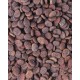 Сухий корм для кішок Carnilove True Fresh Cat Turkey з індичкою 4.8 кг (8595602561469)
