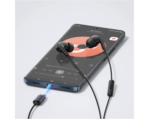 Навушники Xiaomi Type-C Earphones Black (1071791)