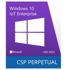 Операційна система Microsoft Windows 10 IoT Enterprise LTSC 2021 Perpetual, Commercial, OneTime (DG7GMGF0H3RD_0002)