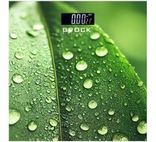 Ваги підлогові Brock BS 003
