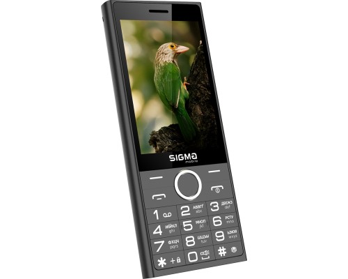 Мобільний телефон Sigma X-style 353 TREND Black (4827798626214)