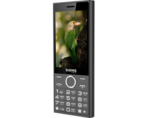 Мобільний телефон Sigma X-style 353 TREND Black (4827798626214)