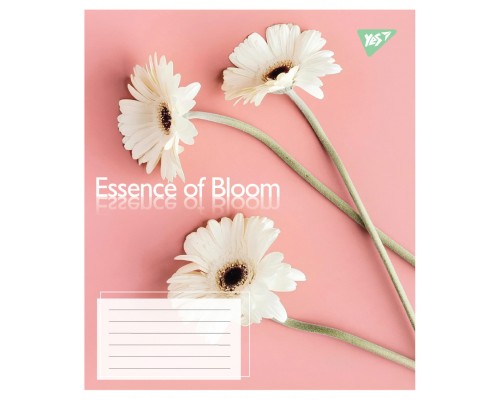 Зошит Yes Essence of Bloom А5 36 аркушів лінія (767720)