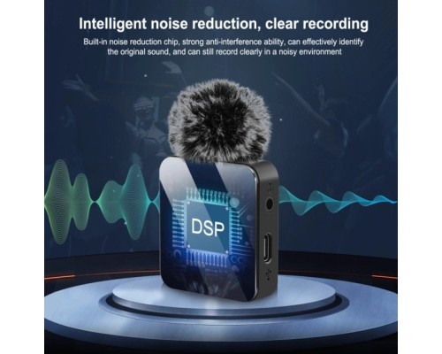 Мікрофон Puluz для телефону приймач Type-C і два мікрофони Black (PU648B)