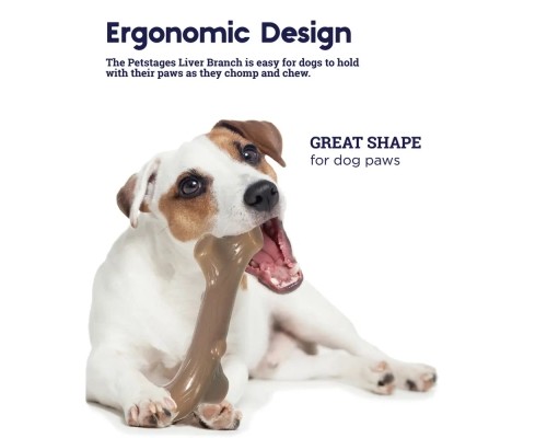 Іграшка для собак Petstages Гілка з ароматом печінки середня (0700603686105)
