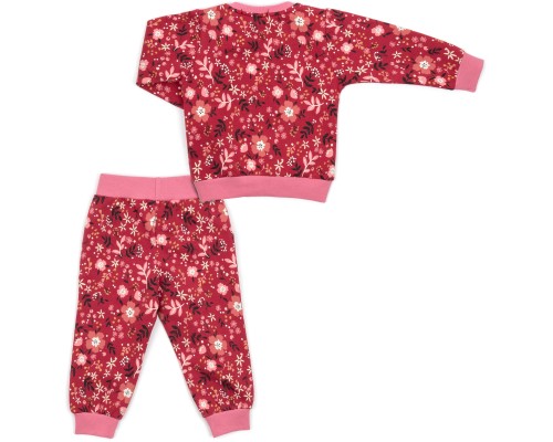 Набір дитячого одягу Breeze на флісі (17306-86G-red)