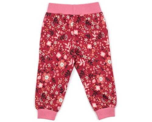 Набір дитячого одягу Breeze на флісі (17306-86G-red)