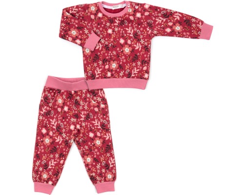 Набір дитячого одягу Breeze на флісі (17306-86G-red)