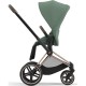 Набір текстилю для коляски Cybex Priam Leaf Green (523000773)