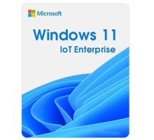 Операційна система Microsoft Windows 11 IoT Enterprise LTSC 2024 Perpetual, Commercial, OneTime (DG7GMGF0PP49_0001)