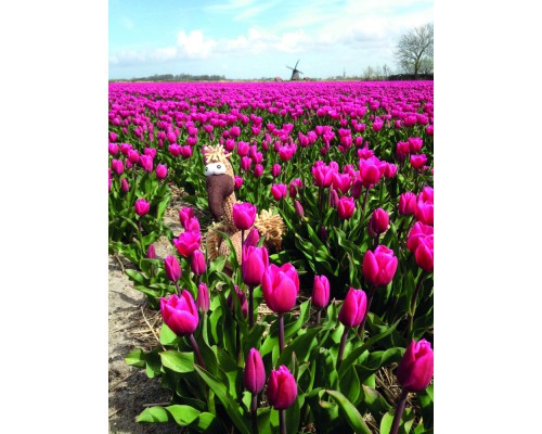 Іграшка для собак Trixie Гриф Густав Тканина і плюш 24 см (4011905359113)