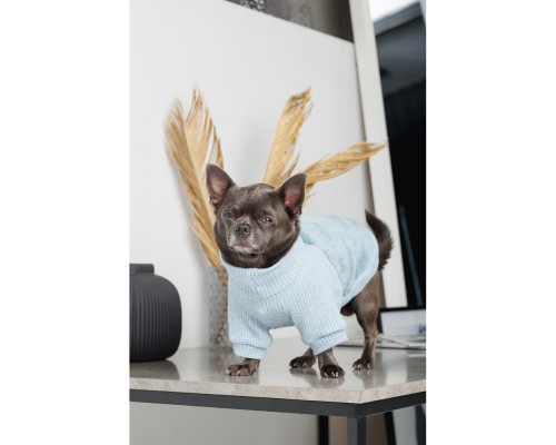 Светр для тварин Pet Fashion Fur S (4823082436057)