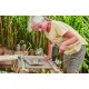 Шуруповерт Bosch EasyDrill 1200, 12В, 2х1.5Ач, ЗП, набір свердл і біт, кейс (0.603.9D3.007)