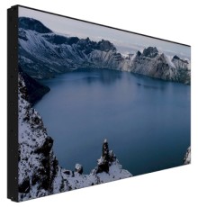 LCD панель Prestigio IDS LCD Video Wall 55 (PDSIN55WNN0L)