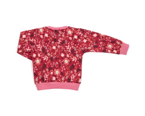 Набір дитячого одягу Breeze на флісі (17306-92G-red)