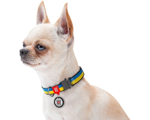 Нашийник для тварин WAUDOG Nylon з QR паспортом Colors of freedom металева пряжка-фастекс L (4507-4020)