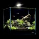 Акваріум Aqualighter набір NaGLASS Nano Set 220 мм 10 л (7142)