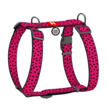 Шлея для собак WAUDOG Nylon анатомічна H-подібна з QR-паспортом 