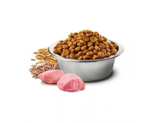 Сухий корм для кішок Farmina LOW GRAIN ягня, чорниця 300 г (8010276021564)