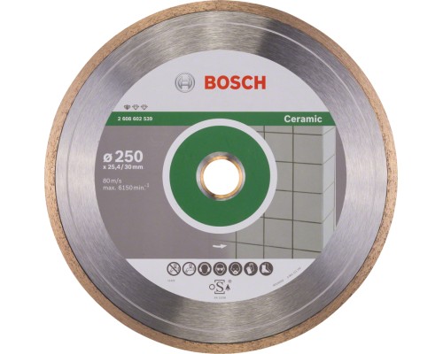 Диск пильний Bosch алмазний Standard for Ceramic, 250 мм, 25.4-30мм, 1.6мм, 7мм (2.608.602.539)