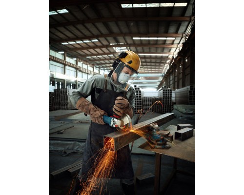 Шліфувальна машина Bosch GWS 12-125 S (0.601.3A6.020)