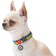 Нашийник для тварин WAUDOG Nylon з QR паспортом Colors of freedom металева пряжка-фастекс M (4506-4020)