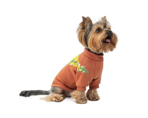 Толстовка для тварин Pet Fashion Miley XS2 (4823082434718)