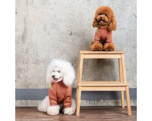 Толстовка для тварин Pet Fashion Miley XS2 (4823082434718)