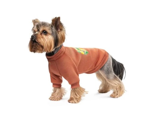 Толстовка для тварин Pet Fashion Miley XS2 (4823082434718)