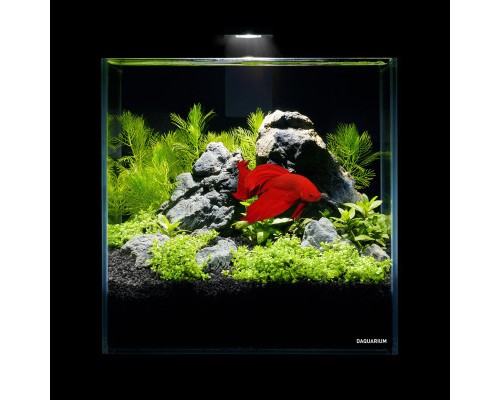 Акваріум Aqualighter набір DAQUARIUM Pico Set 170 мм 5 л (7141)