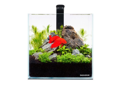 Акваріум Aqualighter набір DAQUARIUM Pico Set 170 мм 5 л (7141)