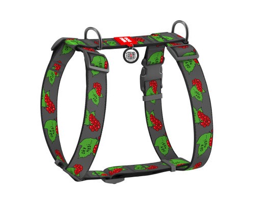 Шлея для собак WAUDOG Nylon анатомічна H-подібна з QR-паспортом 