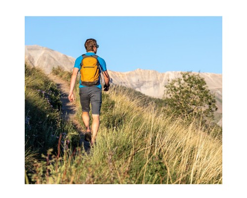 Рюкзак туристичний Osprey Daylite Plus black O/S (009.2478)