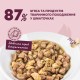 Вологий корм для кішок Delickcious Шматочки з качкою, курячим філе і шпинатом в соусі 85 г (4820269143142)