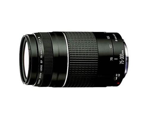 Об'єктив Canon EF 75-300mm f/4-5.6 III (6473A015)