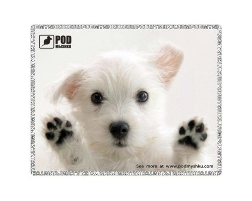 Килимок для мишки Pod Mishkou Лапи вгору Килимок для мишки Pod Mishkou Лапи вгору