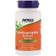 Трави Now Foods Екстракт Андрографіс 400мг, Andrographis Extract, 90 капсул (NOW-04591)