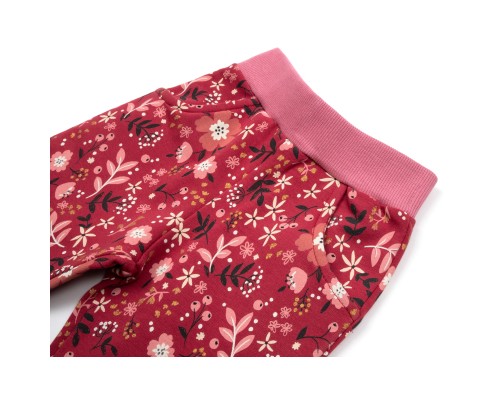 Набір дитячого одягу Breeze на флісі (17306-104G-red)