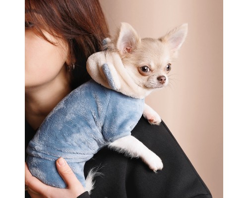 Костюм для тварин Pet Fashion 