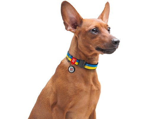 Нашийник для тварин WAUDOG Nylon з QR паспортом Colors of freedom металева пряжка-фастекс S (4505-4020)