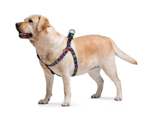 Шлея для собак WAUDOG Nylon з QR паспортом анатомічна 