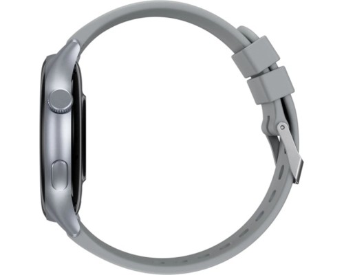 Смарт-годинник Proove Quantum silver (SWQU00000006)