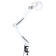 Настільна лампа Євросвітло Ridy-027 E27 зі струбциною біла