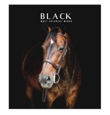 Зошит Школярик Black classic 96 аркушів лінія (096-3388L)
